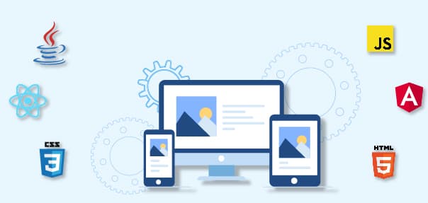 Comparison between software development and web application development