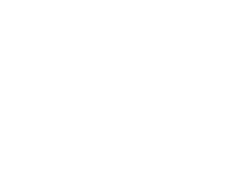 سازمان نظام صنفی رایانه‌ای کشور