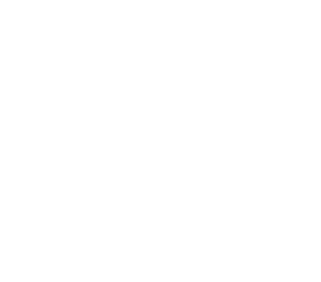 شورای عالی انفورماتیک کشور